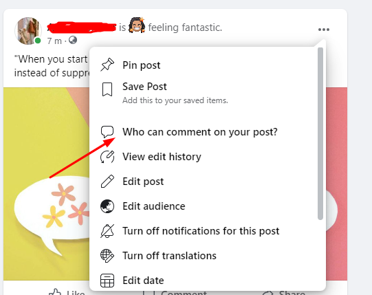 Who can Comment on your posts
