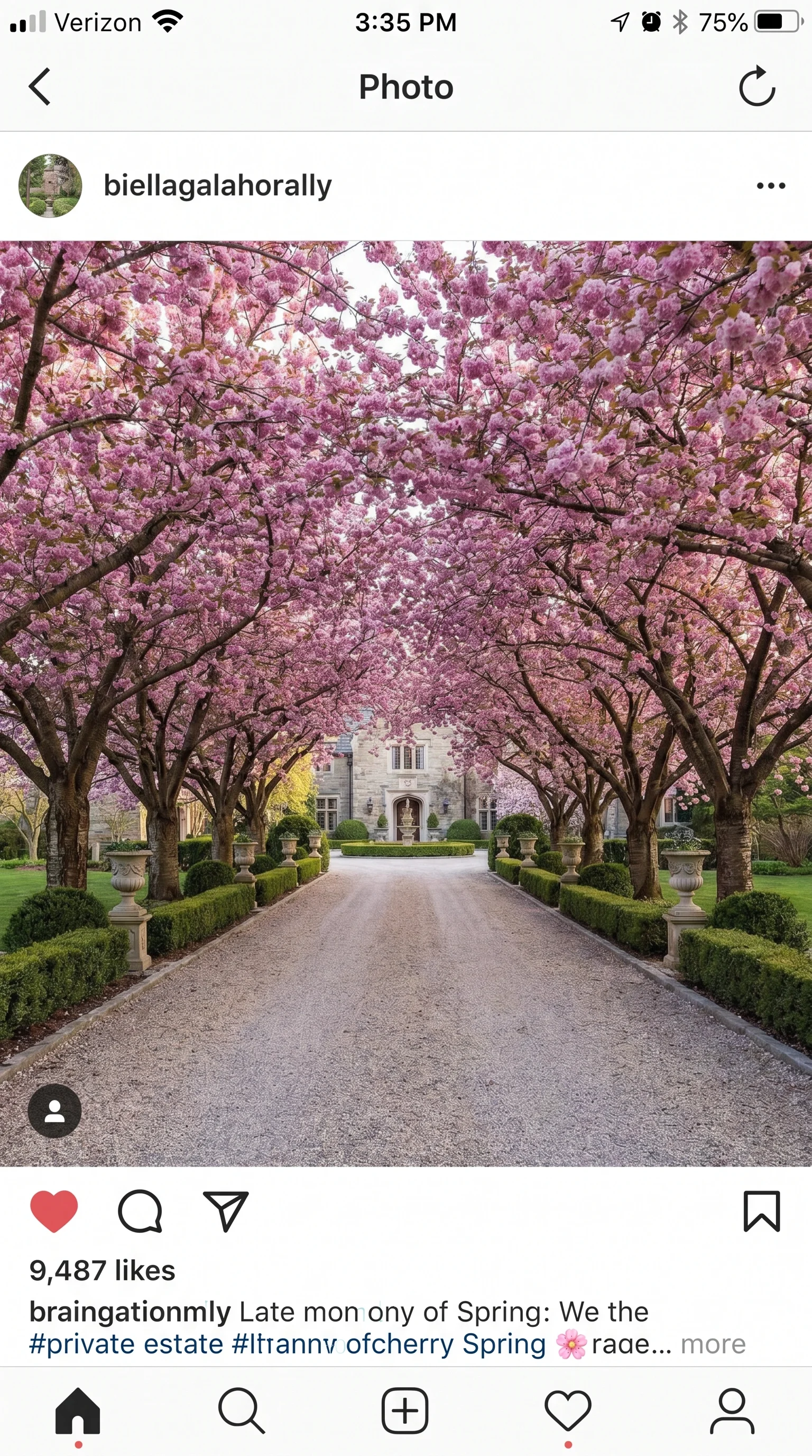13 13 Elegant estate driveway lined with matching orn 13. [Elegant estate driveway lined 202606211421