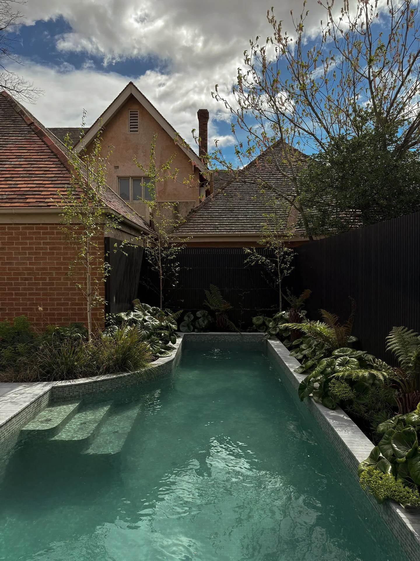resort style pool with dense tropical border
